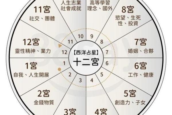 五行之中,卿与命运的神秘联系解析 五行之中,卿与命运的神秘联系解析