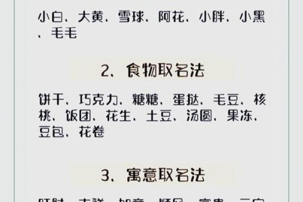 精选适合女孩狗狗的独特名字 精选适合女孩狗狗的独特名字