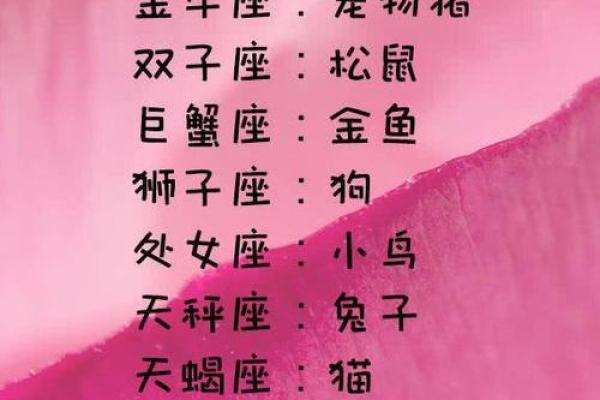 猴狗组合:性格互补的最佳搭档 猴狗组合:性格互补的最佳搭档