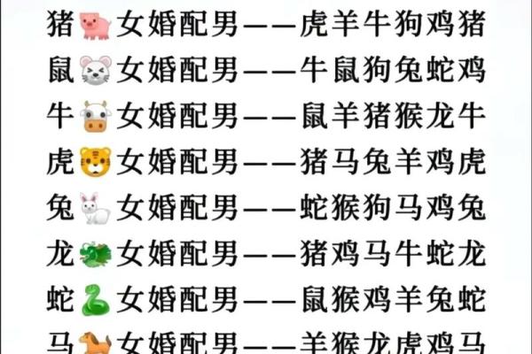 属鼠男与属狗女是否能长久相伴? 属鼠男与属狗女是否能长久相伴?