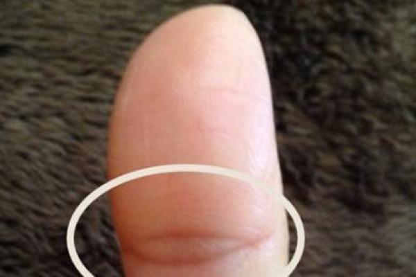 水虎命如何影响人的职业与婚姻 水虎命如何影响人的职业与婚姻