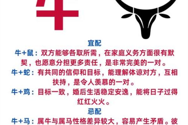 牛兔合适吗?从生肖角度看这对组合 牛兔合适吗?从生肖角度看这对组合